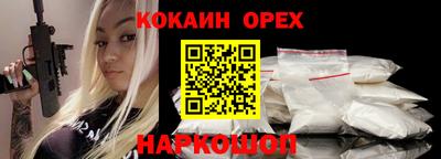 крисы Можга