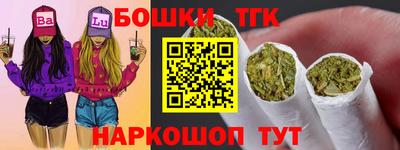 крисы Можга