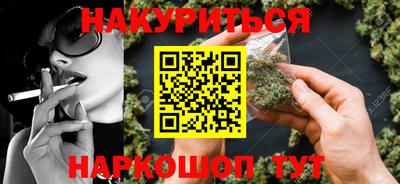 крисы Можга