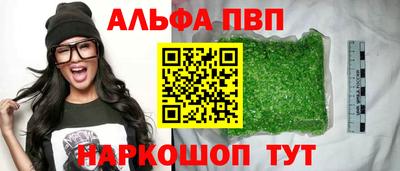 крисы Можга