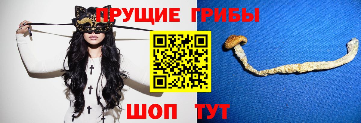 Галлюциногенные грибы Psilocybine cubensis  Вход с VPN  Соликамск 
